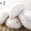 芋頭饅頭 / 20入