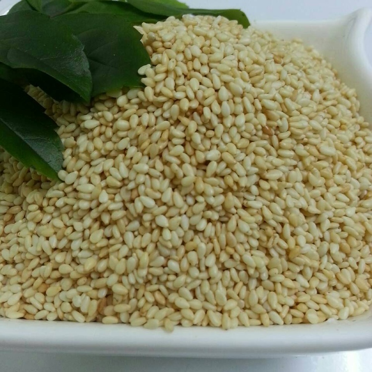白芝麻