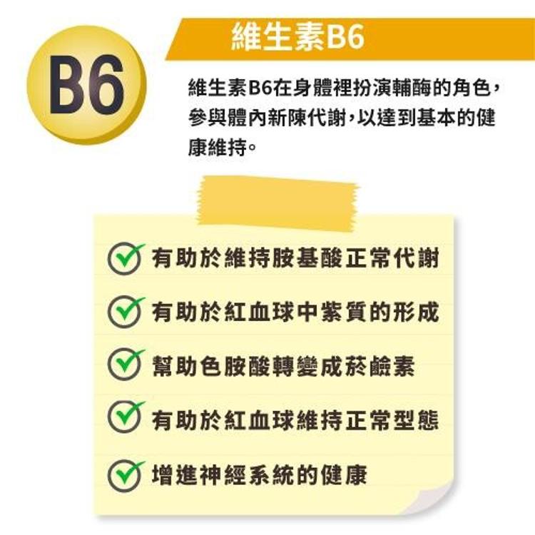 Lovita 愛維他 緩釋型維生素B6全素錠劑﹝小資屋﹞(0103133)