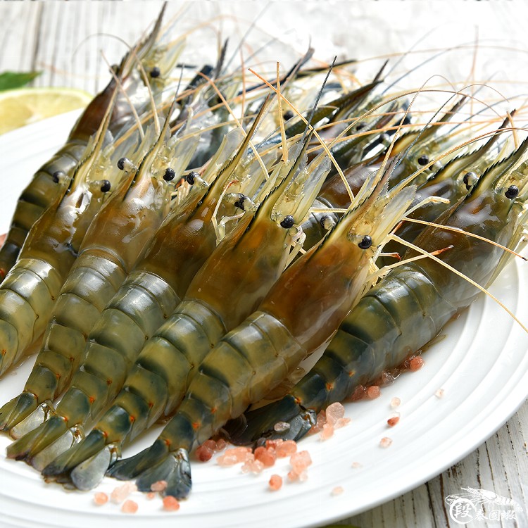 段泰國蝦精選--紅頭母蝦