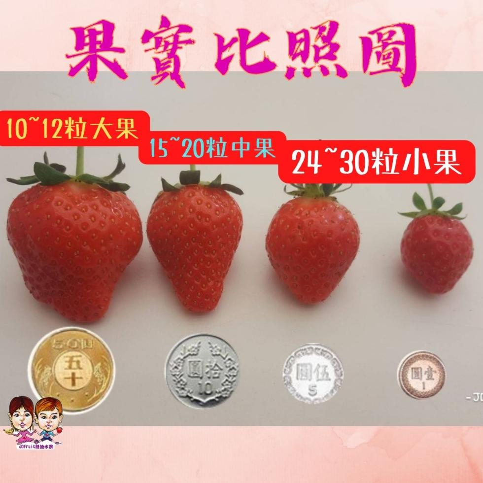 果實比照圖，10~12粒大果，QOFruitan水網，15~20粒中果，24~30粒小果。