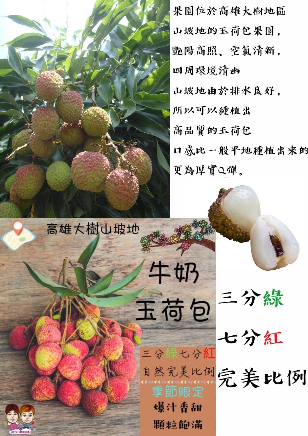 高雄大樹山坡地，果園位於高雄大樹地區，山坡地的玉荷包果園,艷陽高照､空氣清新,四周環境清幽，山坡地由於排水良好,所以可以種植出，高品質的玉荷包，口感比一般平地種植出來的，更為厚實Q彈。玉荷包，三分綠，七分紅，三分綠七分紅，自然完美比例完美比例，季節限