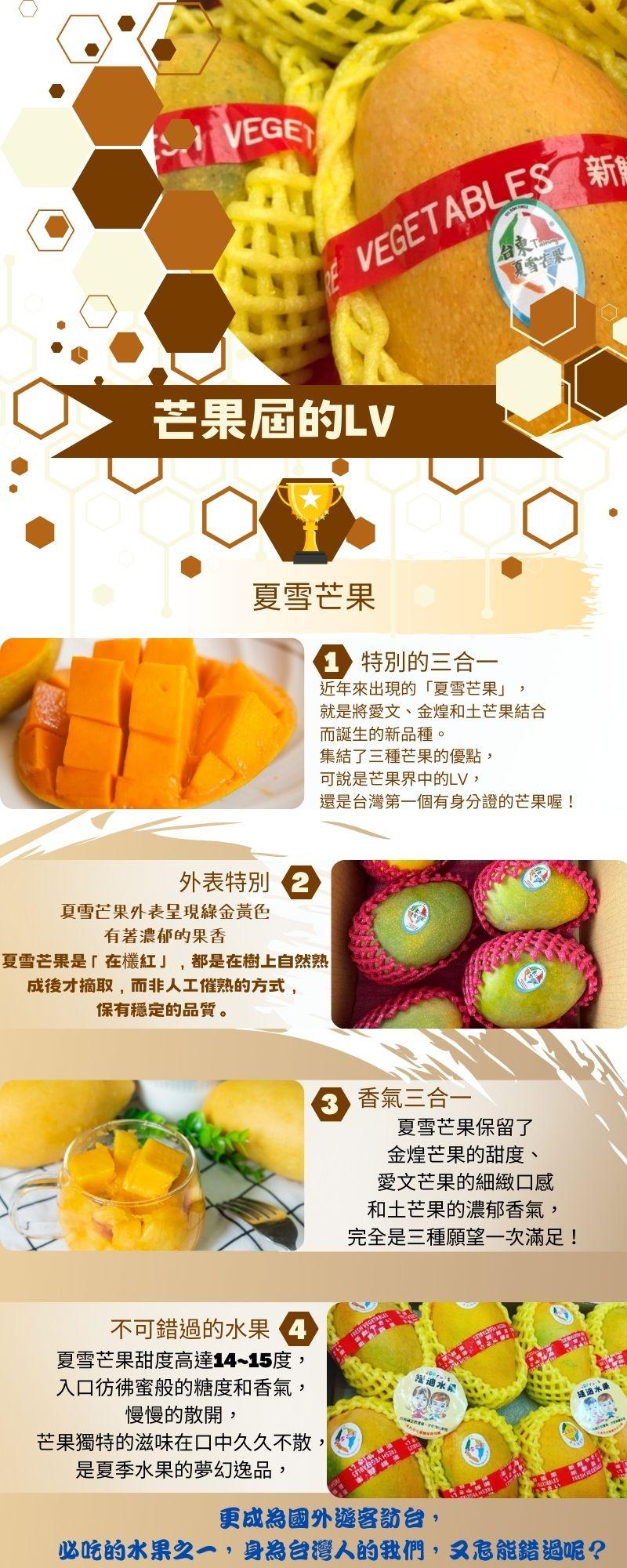芒果屆的LV，夏雪芒果，外表特別2，不可錯過的水果 4，夏雪芒果甜度高達14~15度,入口彷彿蜜般的糖度和香氣,慢慢的散開,芒果獨特的滋味在口中久久不散，是夏季水果的夢幻逸品,特別的三合一，近年來出現的夏雪芒果就是將愛文、金煌和土芒果結合，而誕生的新