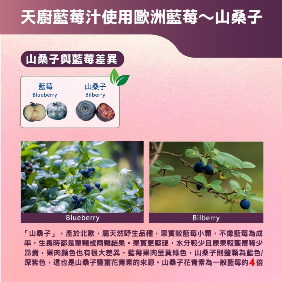 天廚藍莓汁使用歐洲藍莓~山桑子，山桑子與藍莓差異，山桑子，山桑子,產於北歐,屬天然野生品種,果實較藍莓小顆,不像藍莓為成，串,生長時都是單顆或兩顆結果。果實更堅硬,水分較少且原果較藍莓稀少，昂貴,果肉顏色也有很大差異,藍莓果肉呈黃綠色,山桑子則整顆為