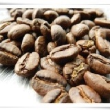 薩爾瓦多‧咖啡豆：半磅裝／新鮮烘焙 →「產區：普羅維登斯」