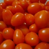 橙蜜香小番茄--限量珍珠版