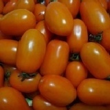 橙蜜香小蕃茄-10斤裝,有貨即時通知出貨區(合適訂購量小)