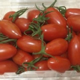 銅鑼溫室蜜番茄 特價：$160