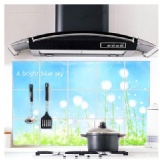 廚房防油貼 牆貼 鋁箔 防油 防水 耐熱壁貼 特價：$20