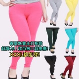 超彈力加大碼莫代爾棉內搭褲