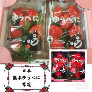 【緁迪水果】日本熊本ゆうべに大草莓
