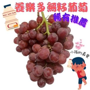 【緁迪水果】美國養樂多無籽葡萄 稀有推薦