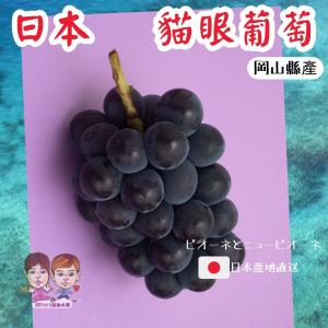 【緁迪水果】日本空運岡山貓眼葡萄禮盒
