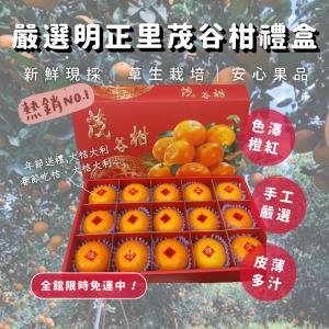 【緁迪水果】春節禮盒-嚴選明正里茂谷柑禮盒