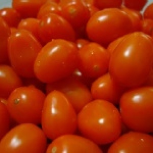 橙蜜香小番茄--限量珍珠版 特價：$300