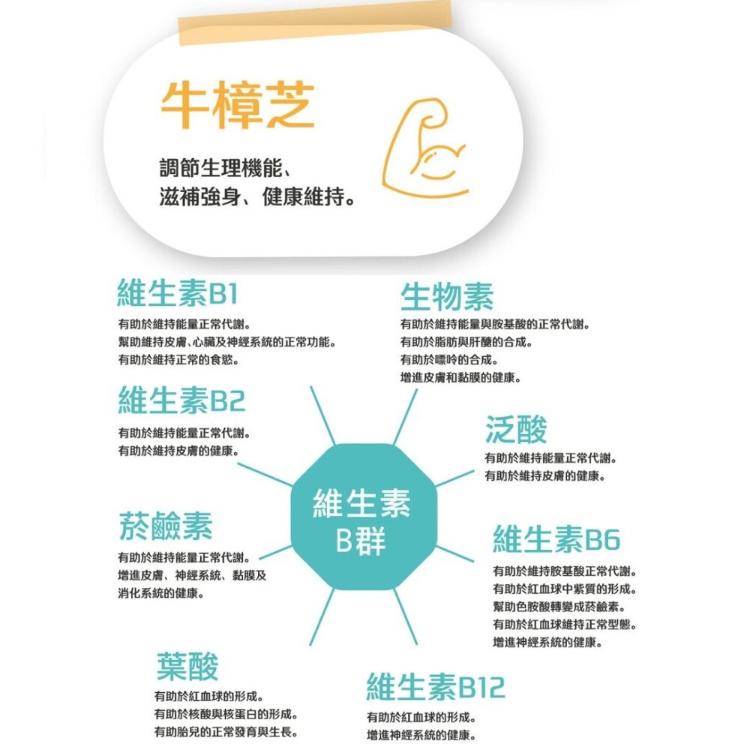 【我的守護神】鋅薑牛B+C~增強體力、精神旺盛、續航力佳！鋅、薑黃、牛樟芝、B群❤️