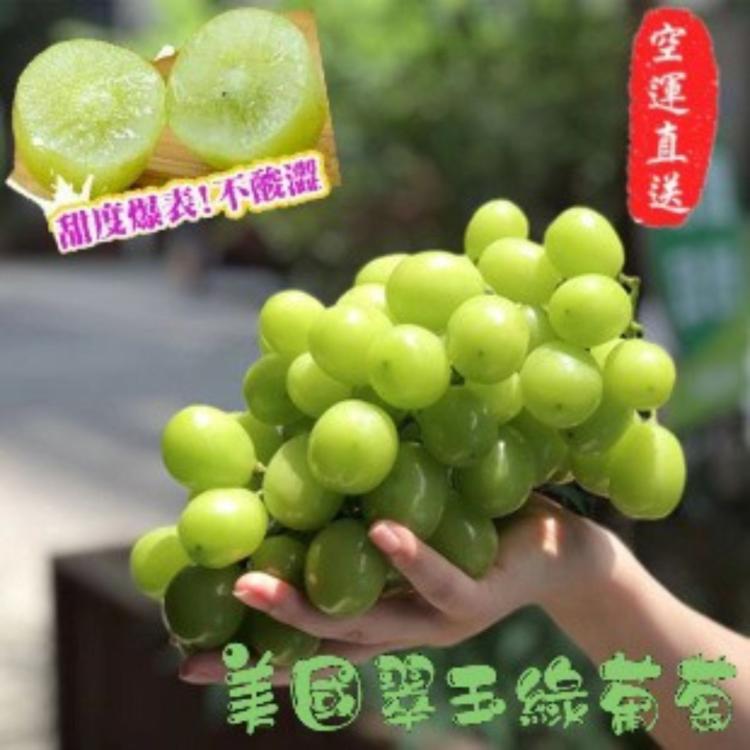 免運!【緁迪水果】美國綠寶石麝香無籽葡萄 800g+-10%/袋 (10袋,每袋353.4元)