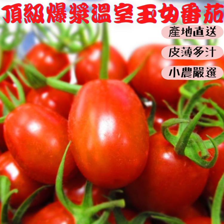 免運!【緁迪水果】2盒 頂級爆漿超好吃的溫室玉女番茄 百貨公司等級 600g/盒