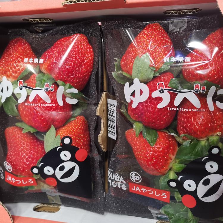 【緁迪水果】日本熊本ゆうべに大草莓