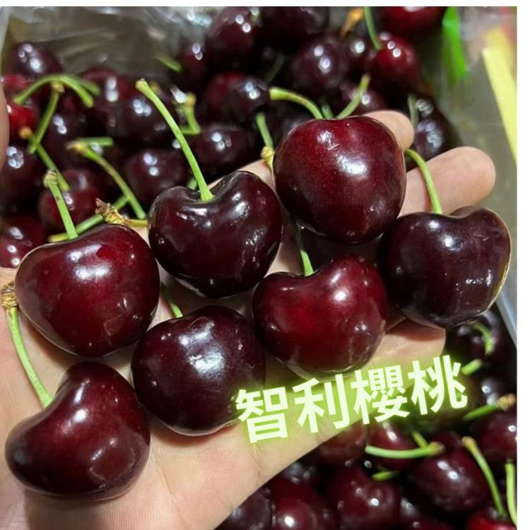 【緁迪水果】特大規格智利櫻桃8.5OR(2.5KG+-10%)禮盒裝