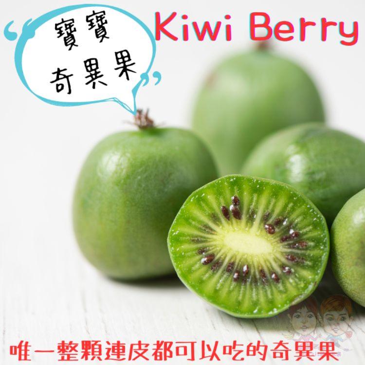免運!【緁迪水果】4盒 紐西蘭寶貝奇異莓Kiwi Berry  125g+-10%/盒