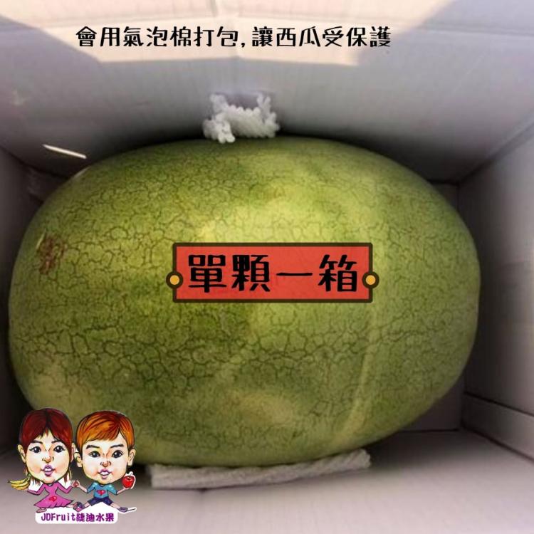 【緁迪水果】最好吃的花蓮頂級大西瓜