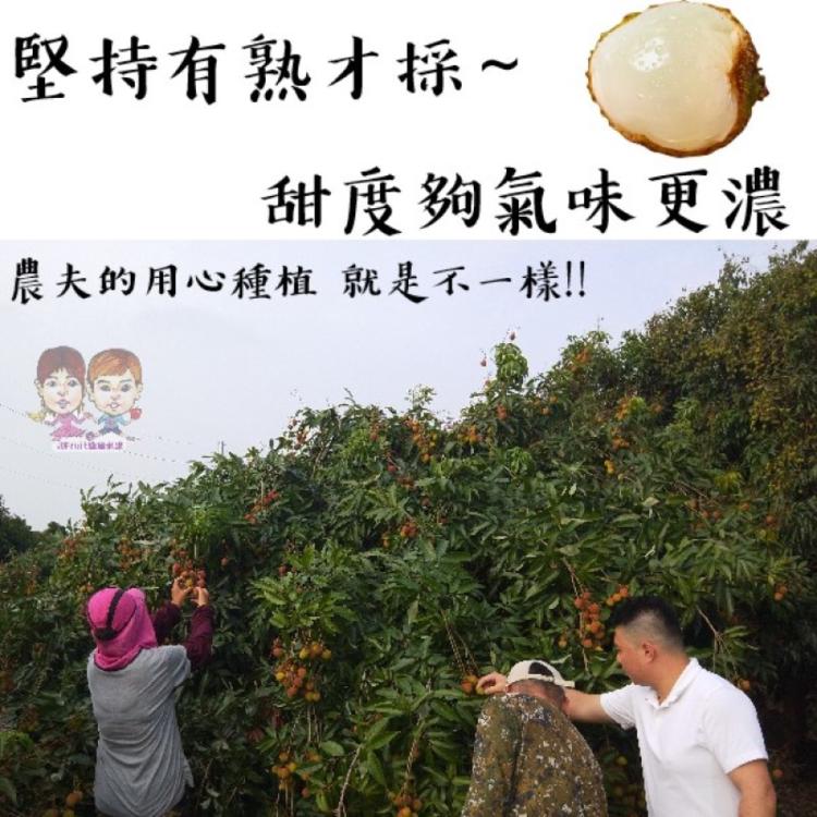 【緁迪水果】台灣在地嚴選大樹玉荷包禮盒