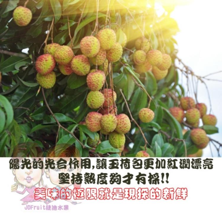 【緁迪水果】台灣在地嚴選大樹玉荷包禮盒