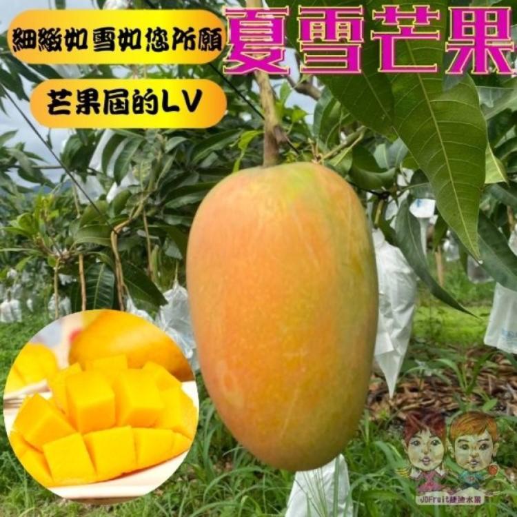【緁迪水果】台東夏雪芒果(產地直送_芒果界的LV盛夏之金送禮推薦)