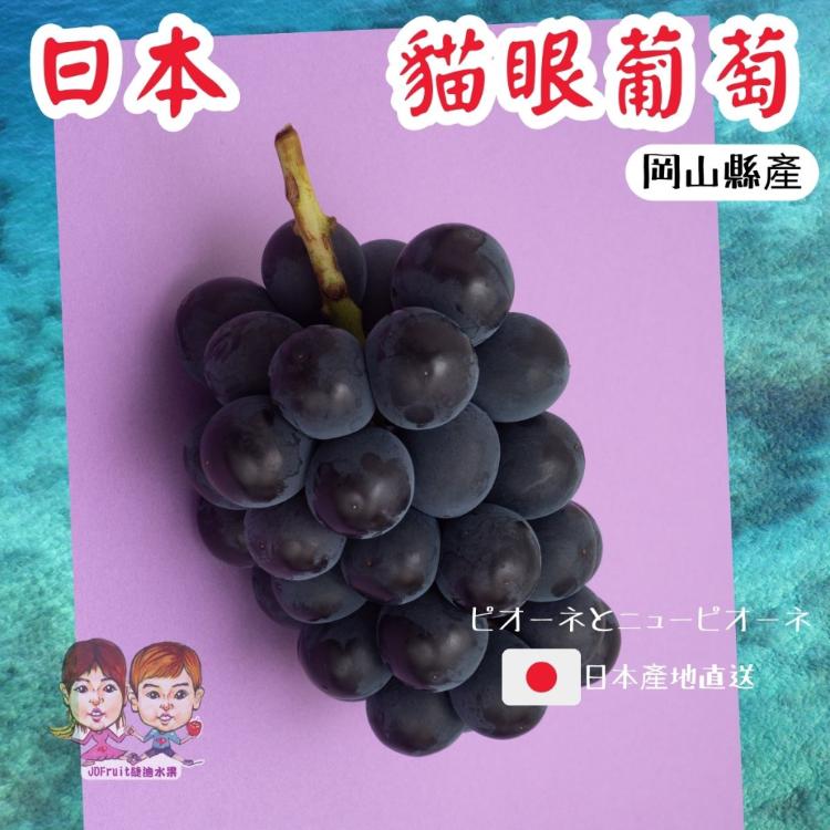 【緁迪水果】日本空運岡山貓眼葡萄禮盒