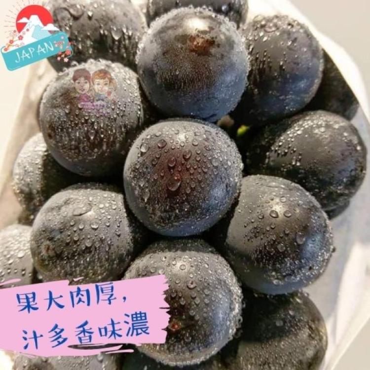 【緁迪水果】日本空運岡山貓眼葡萄禮盒