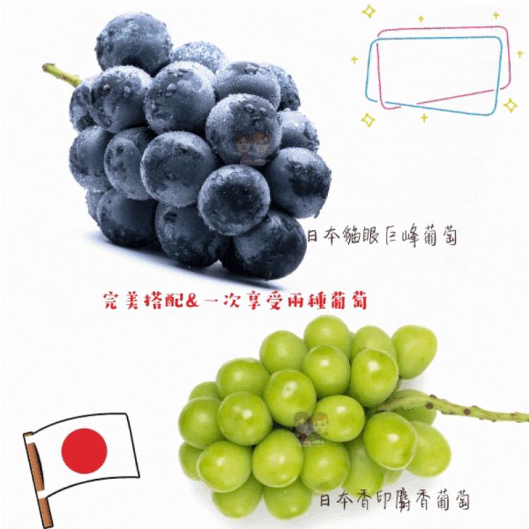 【緁迪水果】中秋禮盒推薦-日本麝香/貓眼葡萄雙拼禮盒(2串/盒)