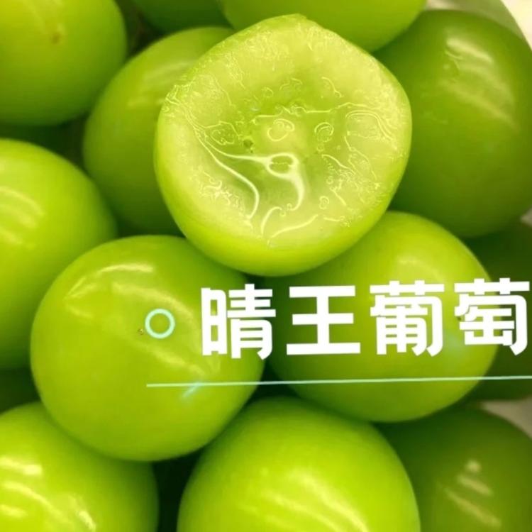 【緁迪水果】日本岡山縣晴王麝香無籽葡萄 700g/盒 禮盒裝