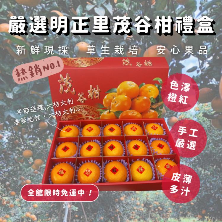 免運!【緁迪水果】春節禮盒-嚴選明正里茂谷柑禮盒 15粒裝