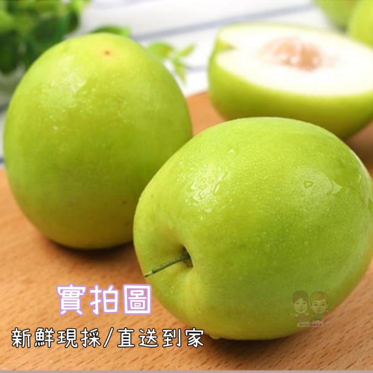 【緁迪水果】春節禮盒-台灣大顆牛奶蜜絲棗手提禮盒