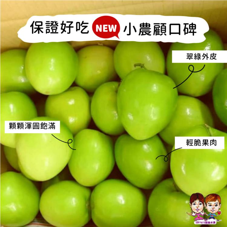 【緁迪水果】春節禮盒-台灣大顆牛奶蜜絲棗手提禮盒