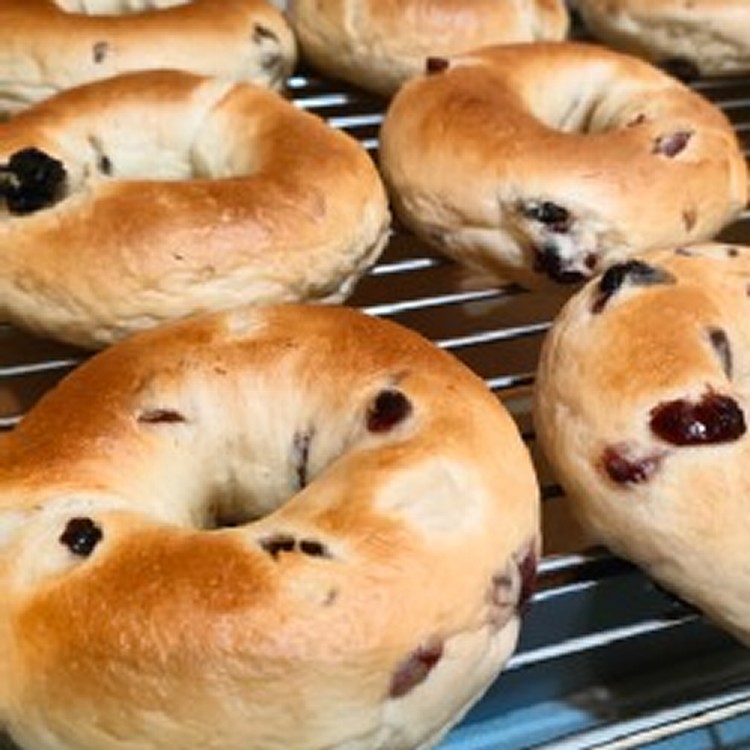 葡萄乾貝果：一份4顆