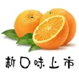 新品上市~歐薇手工巧克力工坊-香橙-松露巧克力50g 小巧試吃包 (世界冠軍巧克力製作)