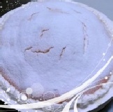 格子工坊幸福烘培~波士頓派~