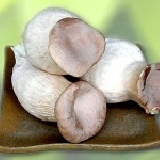 新鮮杏鮑菇(1斤) 網路價200元 愛合購優惠價150元