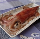 八斗子現撈活凍透抽