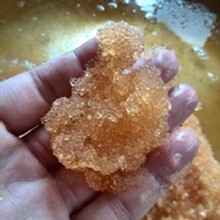 [大合購] 新鱻貨 ✲ 基隆在地—鎖管季來了！最後三天，打完收工