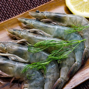 巴拿馬無毒藍蝦XL尺寸