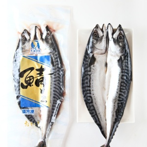 特大號薄鹽鯖魚