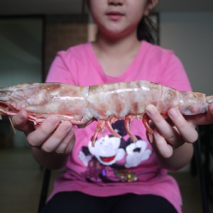 怪物!海老明蝦禮盒(五尾裝)