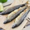 買一送一-外銷日本宜蘭香魚(8P)送即期秋刀魚甘露煮