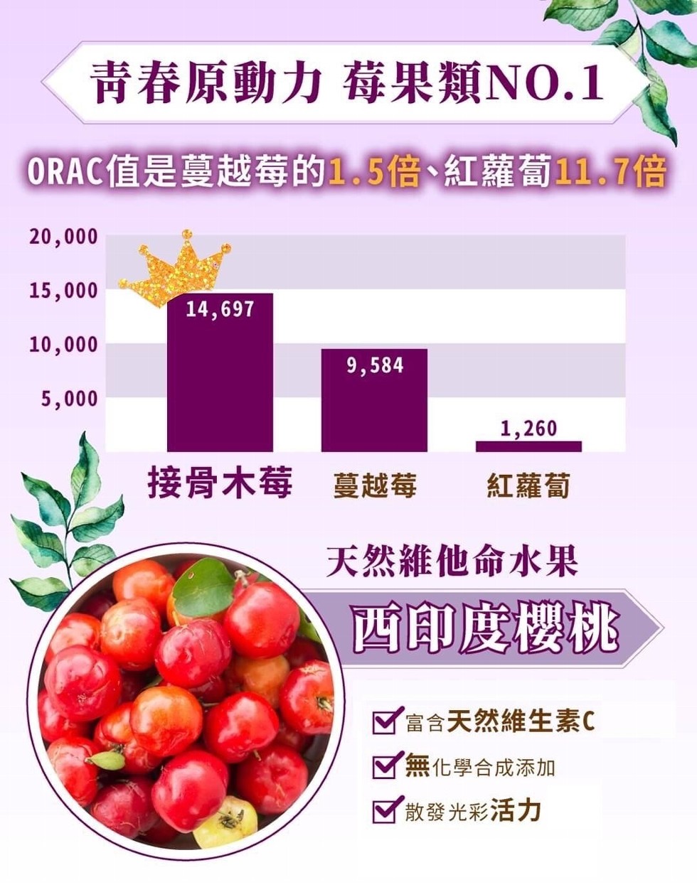青春原動力 莓果類NO.1，ORAC值是蔓越莓的1.5倍、紅蘿蔔11.7倍，接骨木莓 蔓越莓，紅蘿蔔，天然維他命水果，西印度櫻桃，富含天然維生素C，無化學合成添加，散發光彩活力。