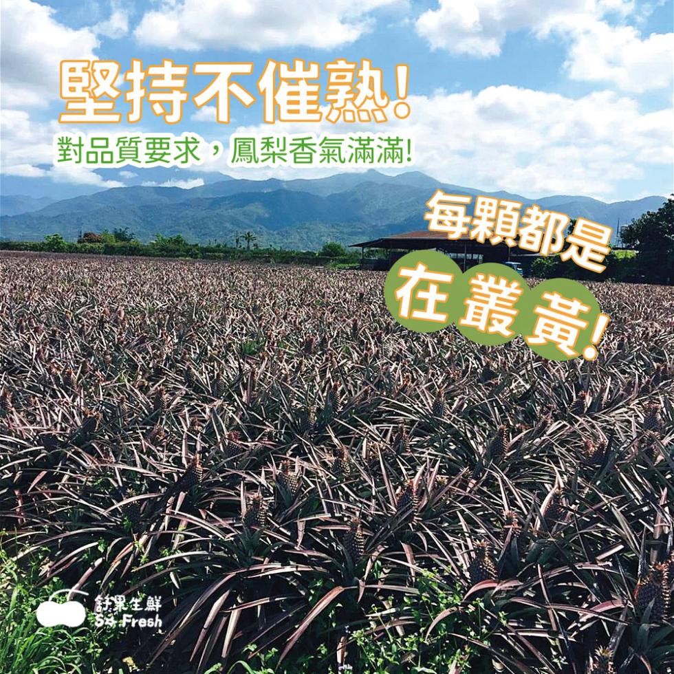 堅持不催熟!對品質要求,鳳梨香氣滿滿!每顆都是，在叢黃!!鉄果生鮮。