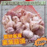 雲林崙背黑葉蒜頭1200g