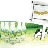 飛牛優酪乳930ml →24瓶團購價2000元/18瓶團購價1500元